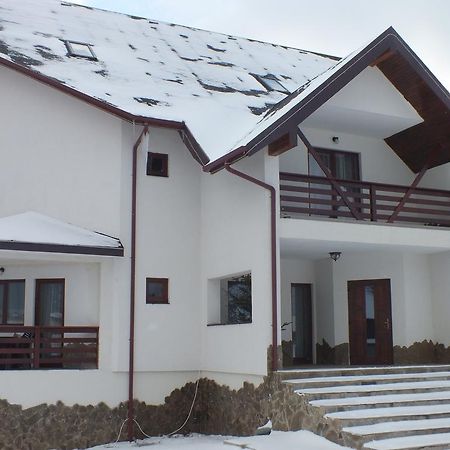 Pensiunea Eliza Hotel Pojanatelep Kültér fotó
