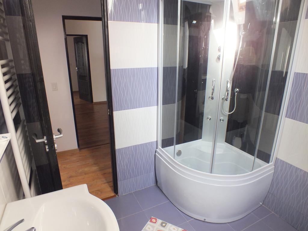 Pensiunea Eliza Hotel Pojanatelep Szoba fotó