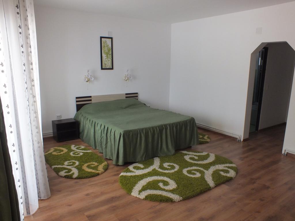 Pensiunea Eliza Hotel Pojanatelep Szoba fotó